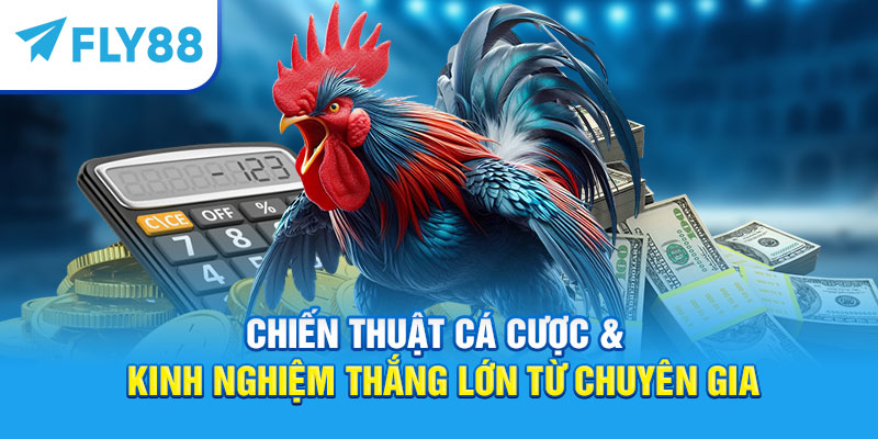 Đá Gà Cựa Dao – Kinh Nghiệm Và Luật Chơi Mới 2025 5 Chiến thuật cá cược